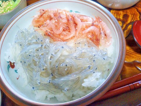 旬の生しらす&生桜えび丼